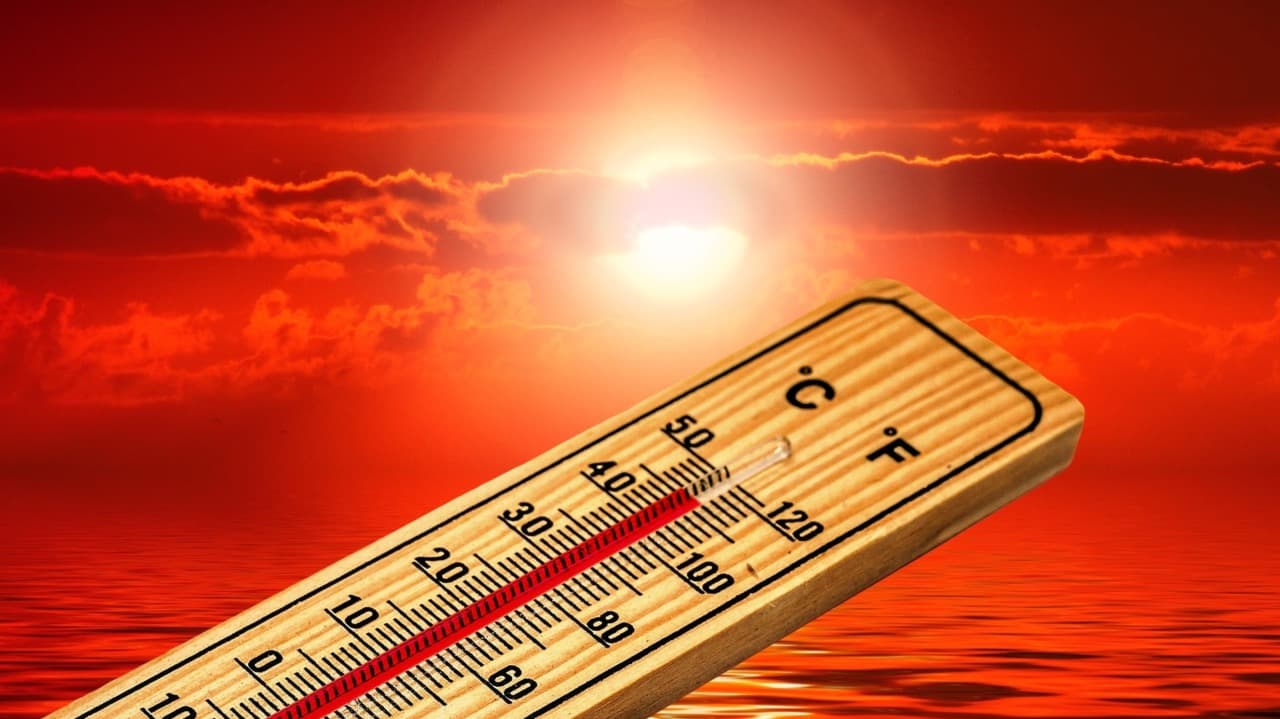 Canicule : quand la chaleur révèle des soucis que l’on croyait maîtriser - Caroline Cayol - Maître Praticienne certifiée en Hypnose Ericksonienne Avignon